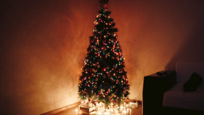 ¿Cómo elegir el árbol de Navidad más "amigable" con el medio ambiente? Ya sea natural o artificial