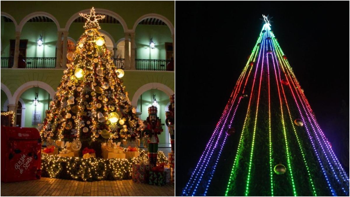 Mérida se ilumina con sus increíbles árboles de Navidad en Paseo de Montejo y Palacio de Gobierno