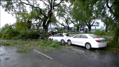 Tormenta deja al menos 13 muertos en Argentina; se registran derrumbes y caída de árboles y postes