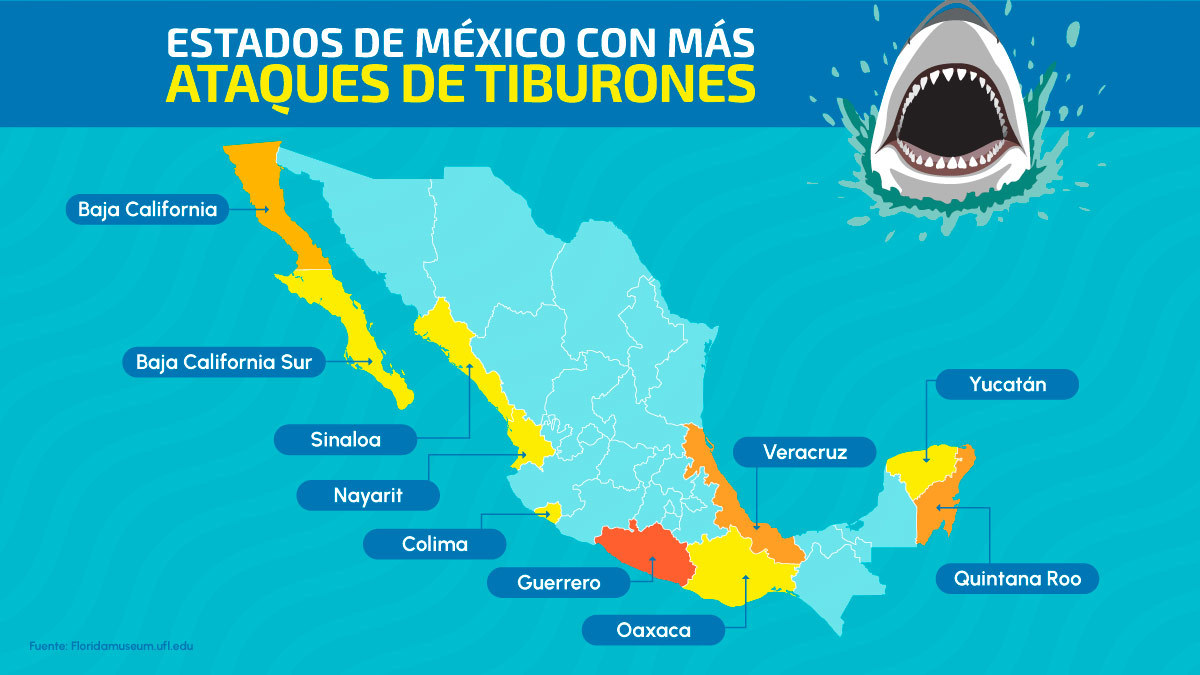En el mar, la vida es peligrosa: en estos estados de México hay más ataques de tiburones