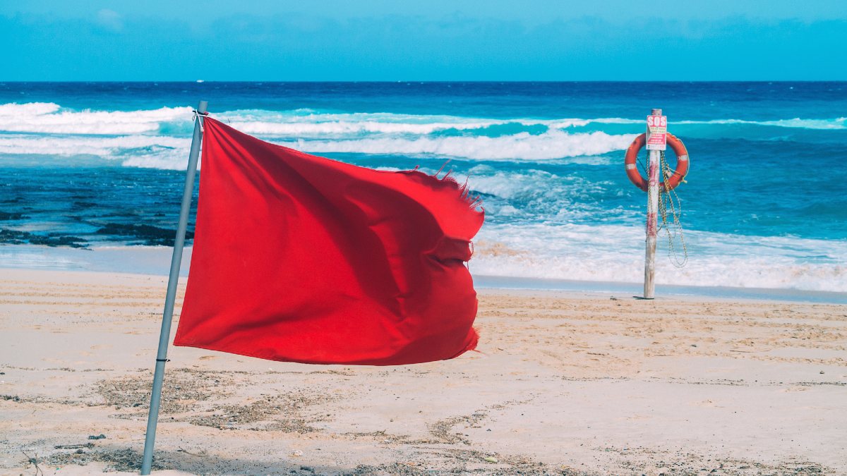Refuerzan medidas tras ataque de tiburón en Jalisco: ¿qué significan colores de banderas colocadas en playa?