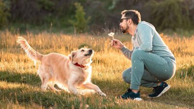 Descuidar a tu mascota en parque de Chihuahua podría generarte multa