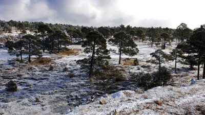 Registra -13 grados centígrados “el congelador de México” ubicado en La Rosilla, Durango