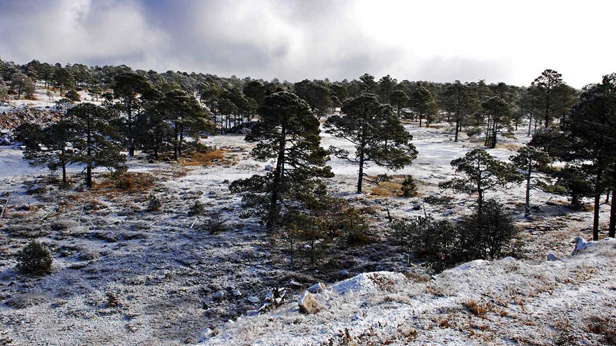 Registra -13 grados centígrados “el Congelador de México” ubicado en La Rosilla, Durango