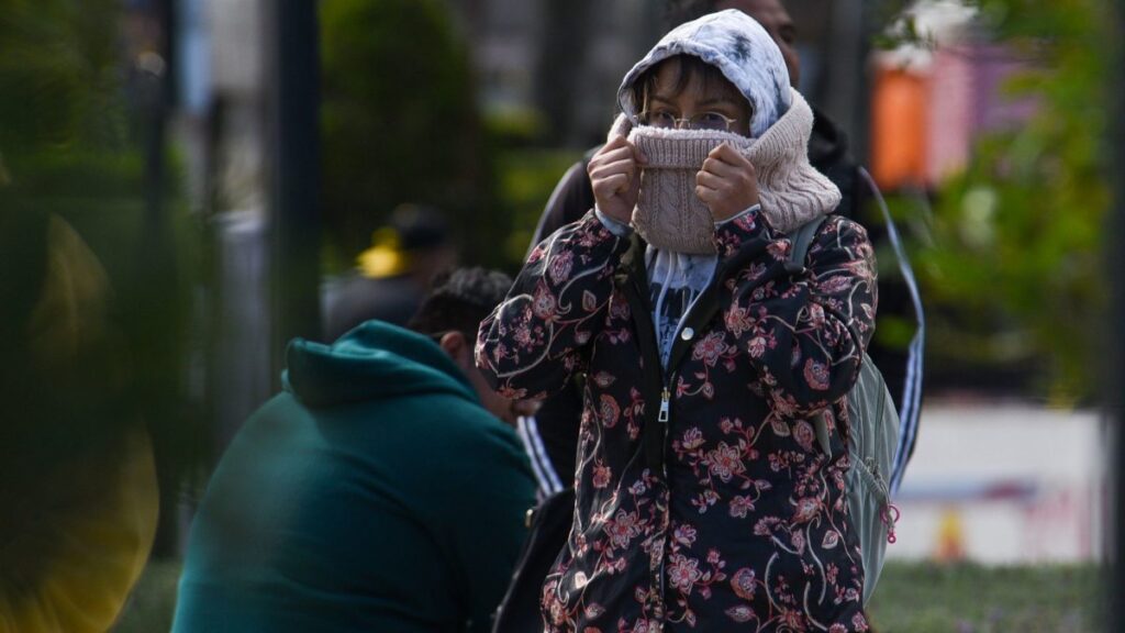 امرأة ترتدي معطفًا ووشاحًا وقبعة لتحمي نفسها من البرد