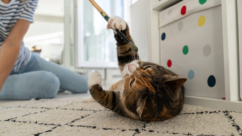 5 Tips para evitar que tu gato rasque los muebles