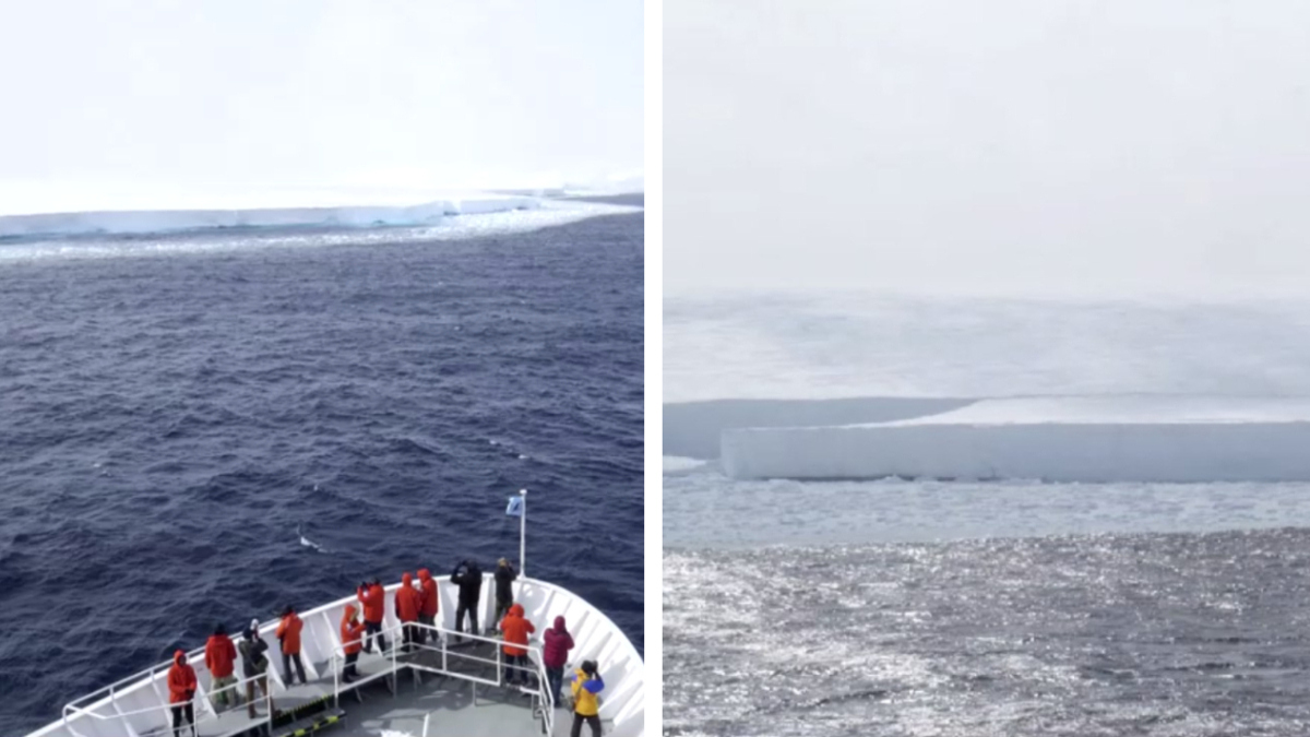 Así es A23a, el iceberg de casi un billón de toneladas que se mueve por el Océano Antártico