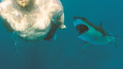 ¡De terror! Joven capta momento en que es atacado por tiburón en Australia