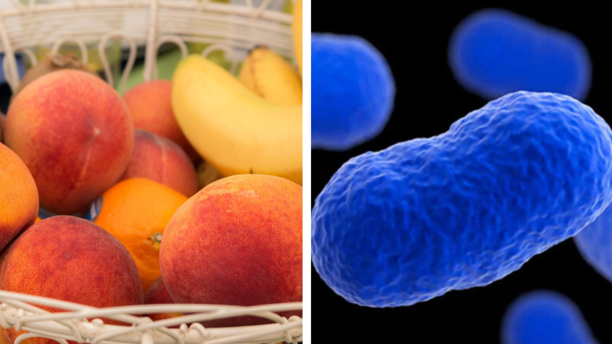¿Qué es la listeria y qué causa esta bacteria presente en frutas provenientes de EU?