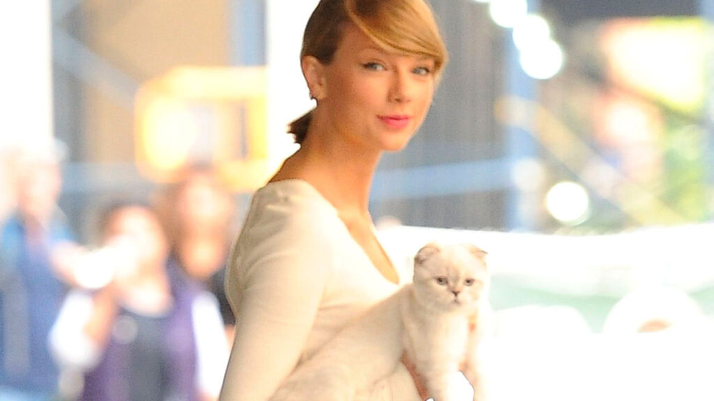 Quiénes son los gatos de Taylor Swift