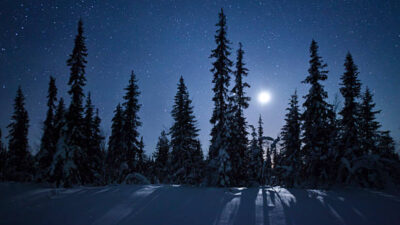 ¿Cuándo y cómo ver la luna fría este invierno? No te pierdas la última luna llena de 2023