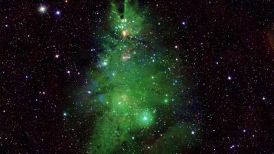 NASA comparte imagen de "árbol de Navidad" cósmico