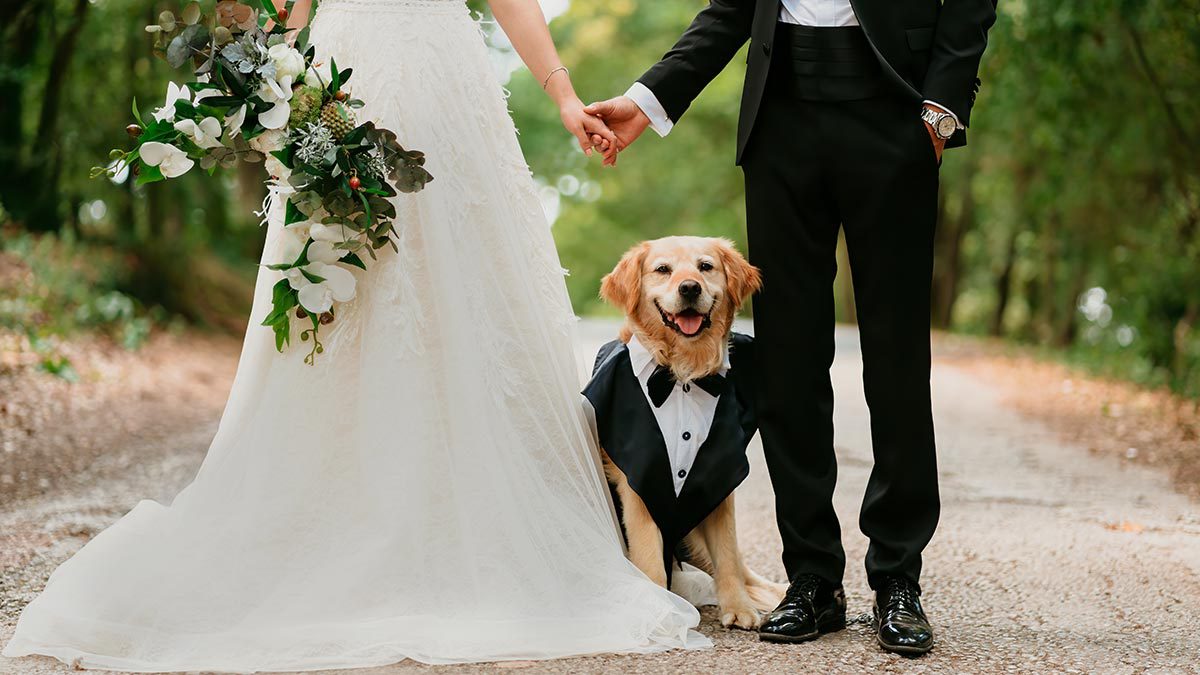 ¿Tu perrito o gato pueden ser testigos en tu boda?