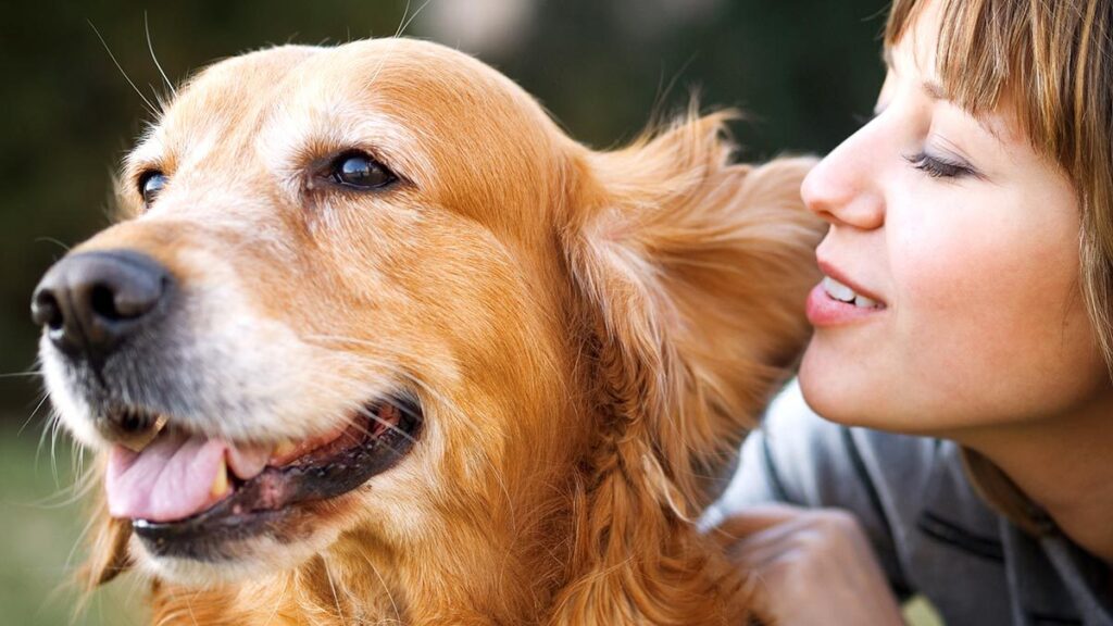 Talking to your dog makes you smarter;  Science says so