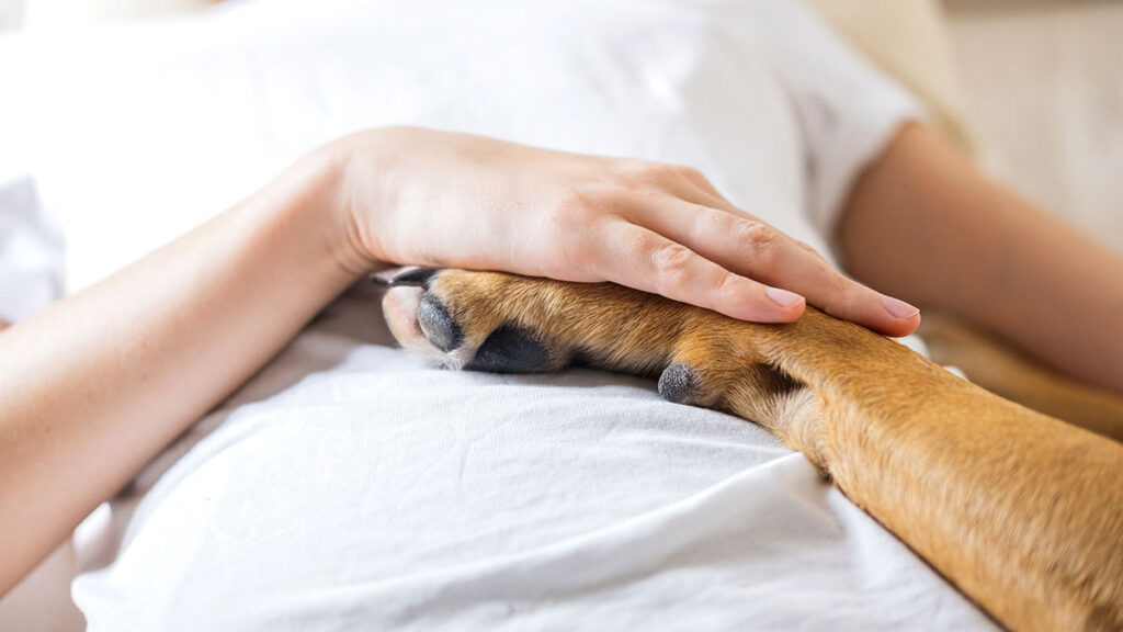 Mujer despierta del coma visitada por perro