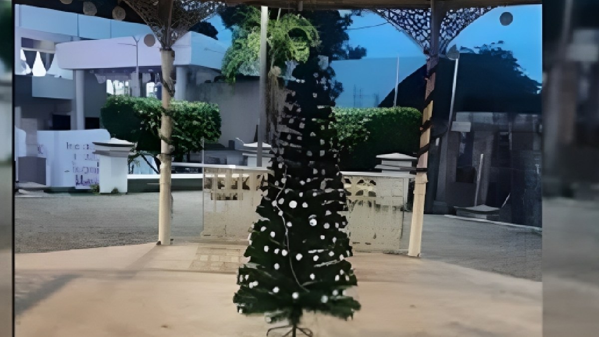 ¿Navidad austera? Tunden en redes sociales al Ayuntamiento del Álamo por poner pequeño árbol