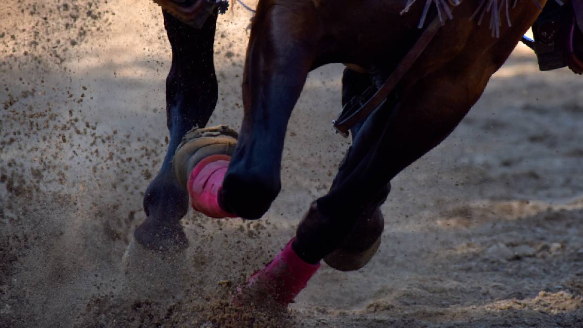 FUERTE VIDEO: caballo arrastra a mujer por varios metros a toda velocidad en Querétaro