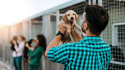 Todos los perros de un refugio de animales fueron adoptados por primera vez en casi 50 años