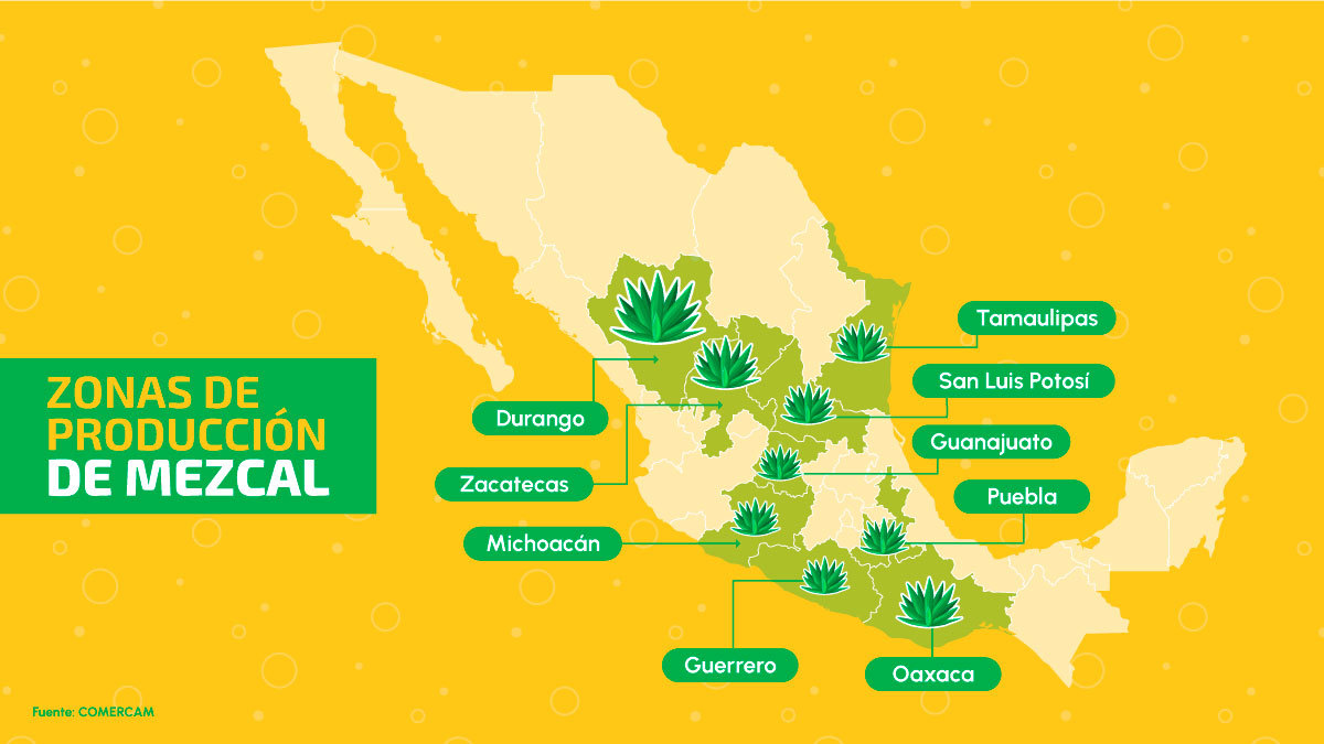 Tras las huellas del agave: descubre las rutas del mezcal en México