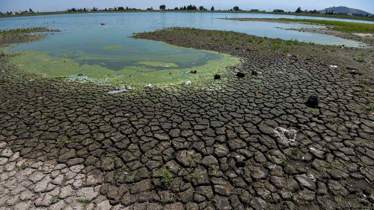 Más de la mitad del país en crisis, hay sequía en México