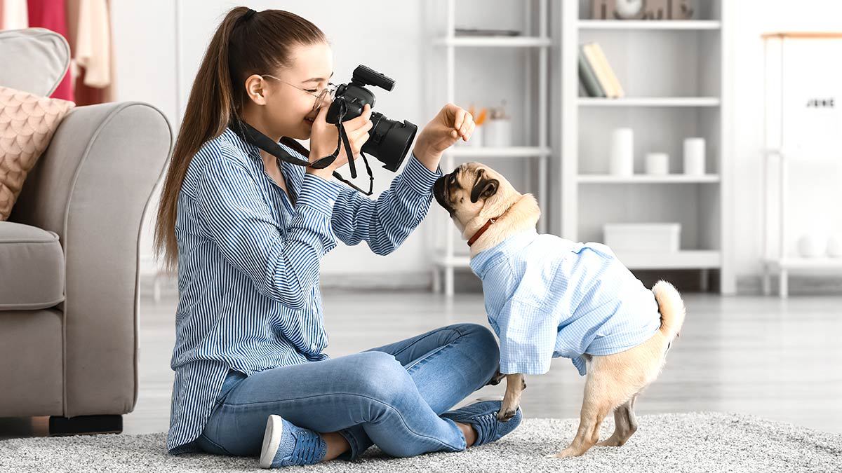 Sesión de fotografías para mascotas: cómo son y cuánto cuestan