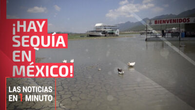 Las noticias de hoy, 15 de diciembre de 2023, en un minuto, hasta las 14:00 horas
