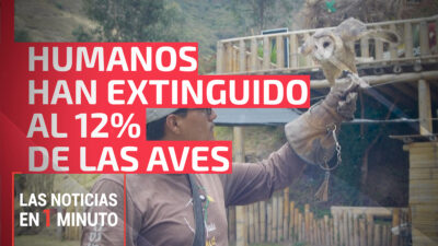 Noticias de hoy 26 de diciembre 2023