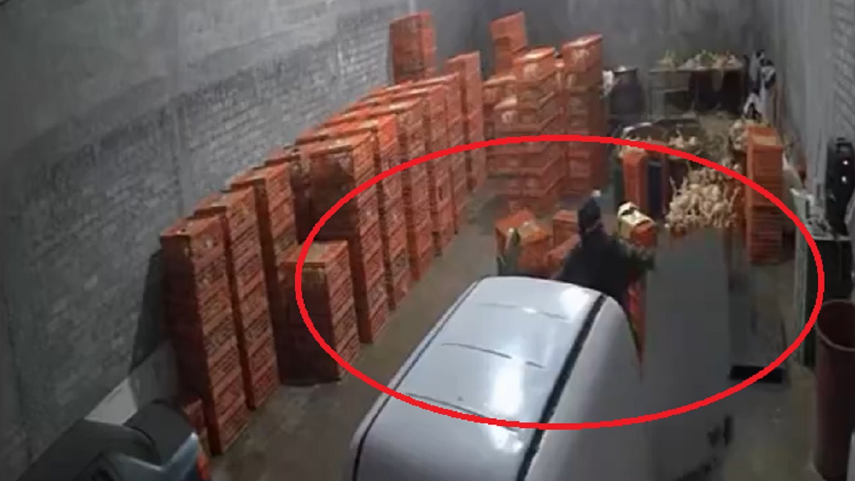 Video: secuestran a 4 vendedores de pollos en Toluca, Edomex; hay un detenido