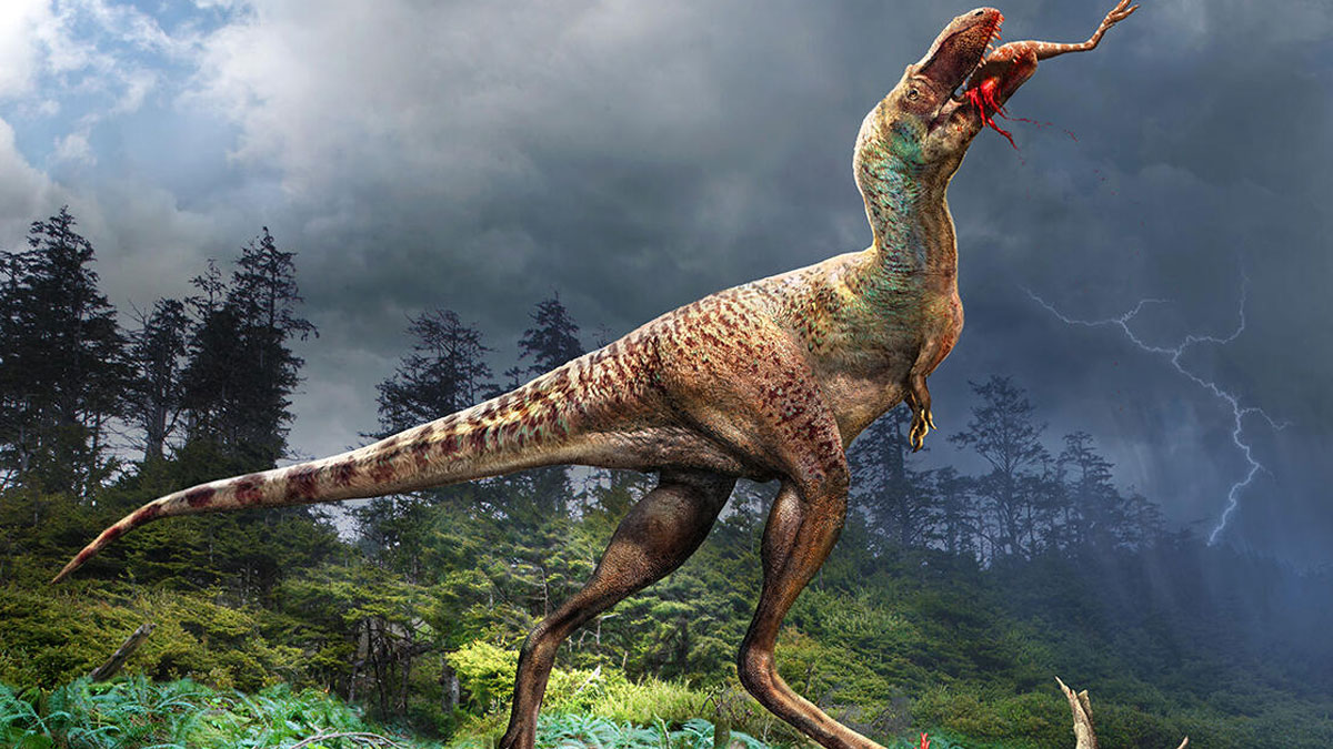 Dos dinosaurios emplumados, la última comida de un tiranosaurio adolescente