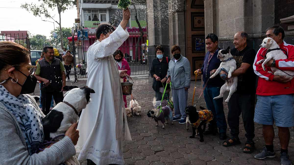 Las imágenes más tiernas de la bendición de mascotas por el Día de San Antonio Abad