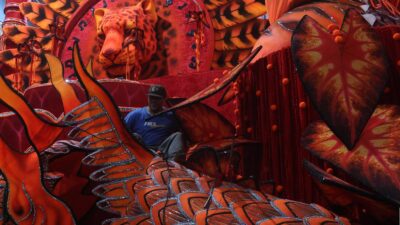 carnaval brasil china dragóm pavo real