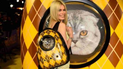 Crazy cat lady core: amor por los gatos regresa a la moda