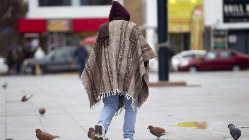 Mujer abrigada camina por una plaza en medio de palomas