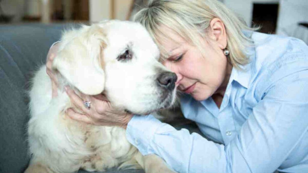 Perros son capaces de percibir la tristeza de los humanos