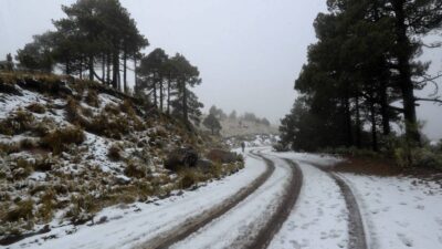 Clima en México: cuarta tormenta invernal causará nevadas y frío de -15 grados