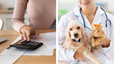 ¿Puedo deducir gastos médicos para mascotas?