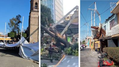 Fuertes vientos derriban árboles, cables y carpas en CDMX y Edomex