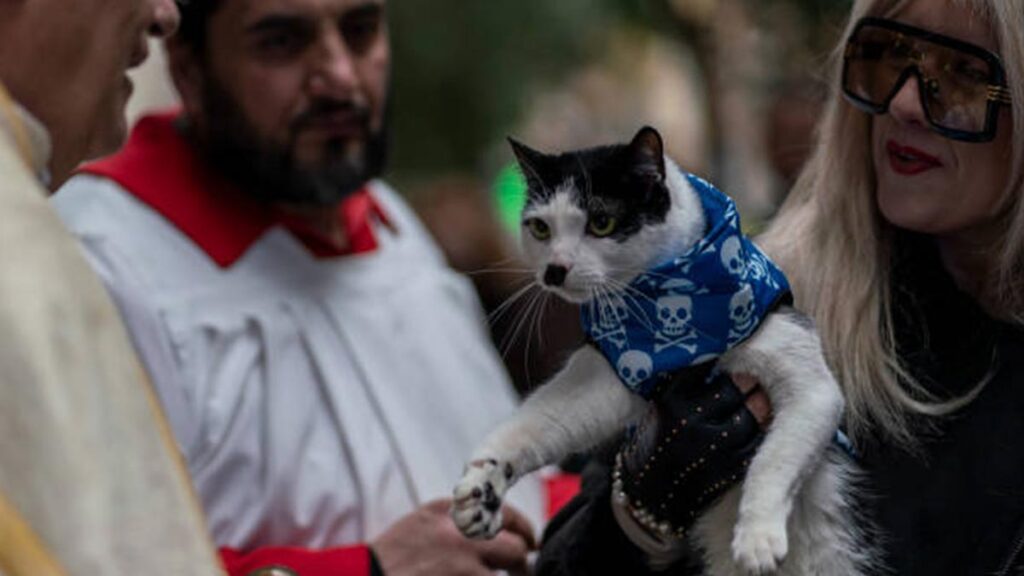 Fotos de la bendición de mascotas por el Día de San Antonio Abad
