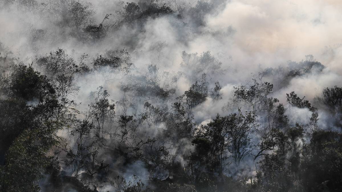 Colombia activa protocolos de ayuda internacional para enfrentar incendios