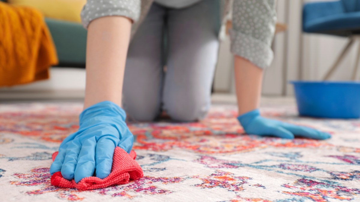 ¿Cómo limpiar una alfombra fácil y rápido?