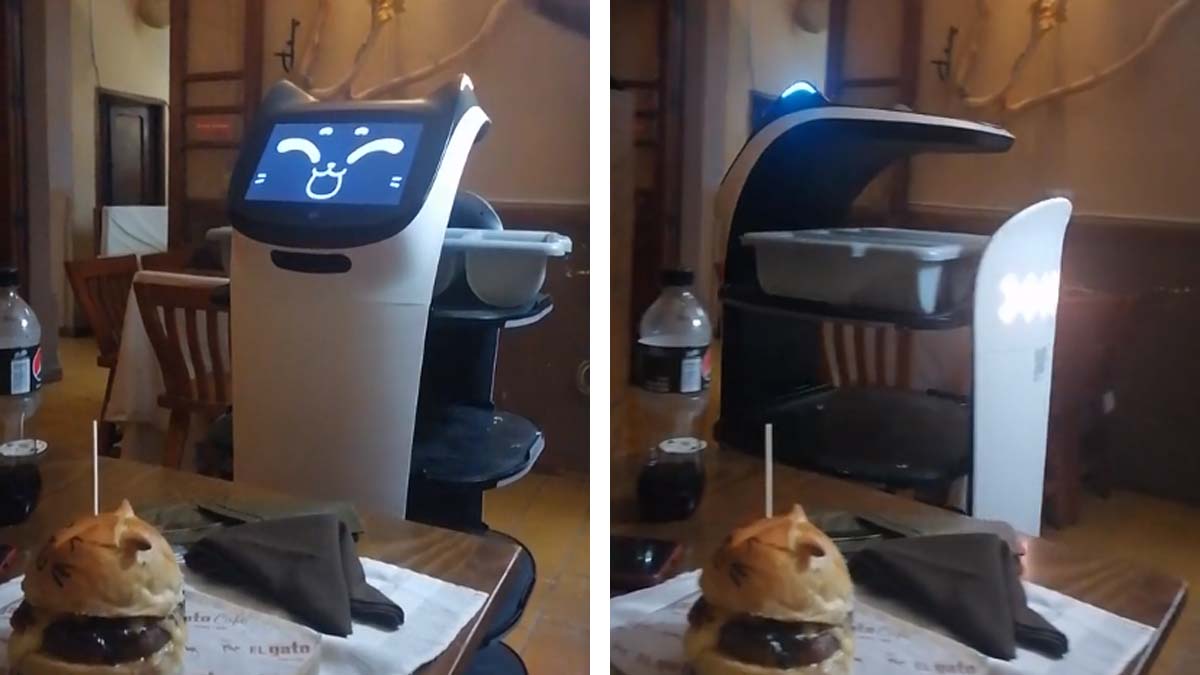 ¡Sensación viral! En este restaurante de México trabaja el mesero michi robot