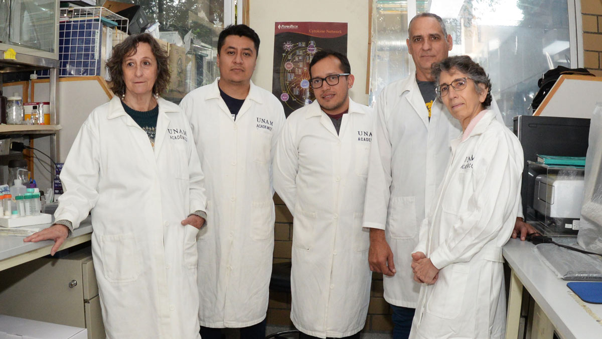 UNAM avanza en el desarrollo de molécula contra el cáncer de mama