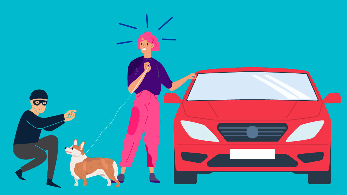 Mujer se lanza sobre el parabrisas del auto de un ladrón para evitar que le roben a su perro: video