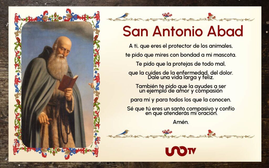 San Antonio Abad: oración para pedir por los animales