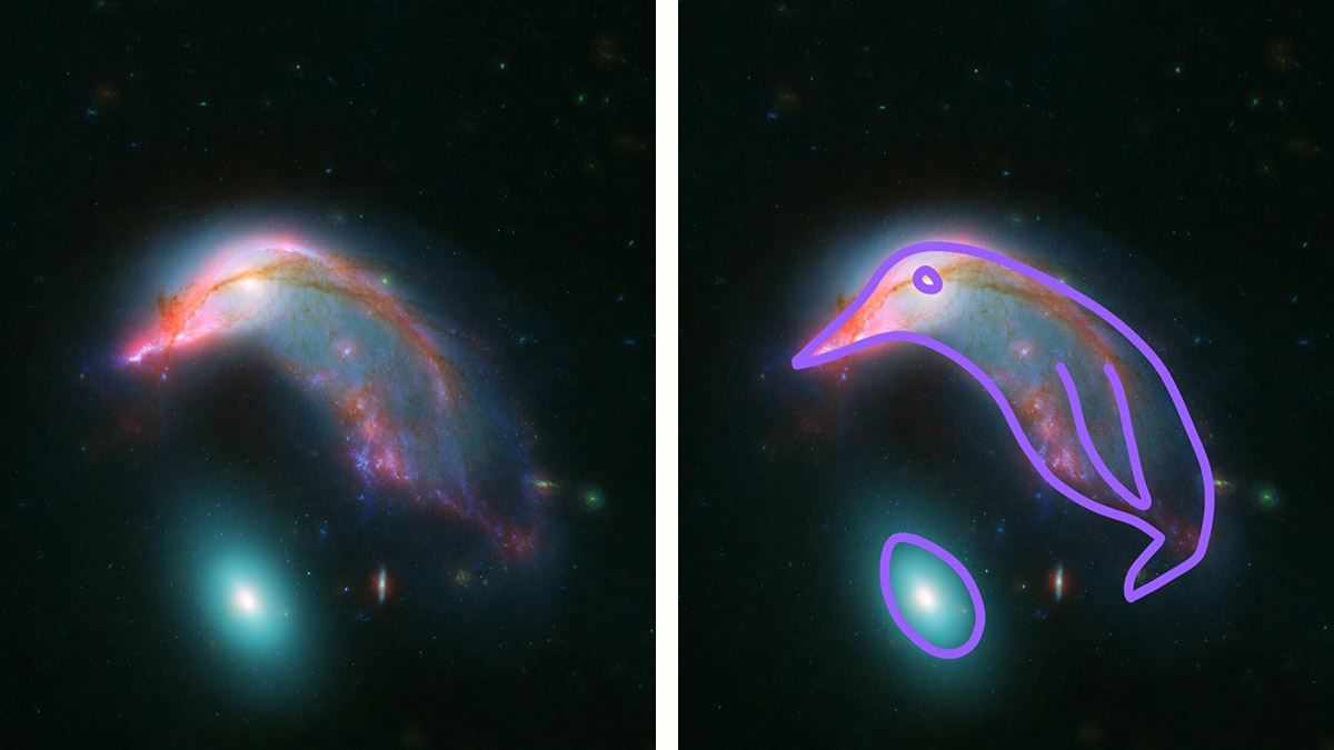 NASA captura imágenes de galaxias que forman un “pingüino” cósmico