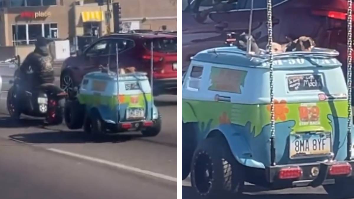 ¡Poder perruno! Joven lleva a sus lomitos a pasear en carro de la “Máquina del Misterio”, de Scooby-Doo