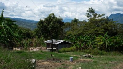 Selva en Chiapas