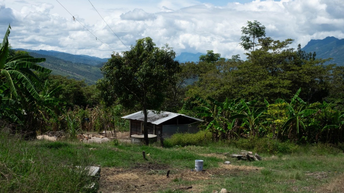 Violencia orilla a suspender recorridos en la Selva Lacandona, Chiapas