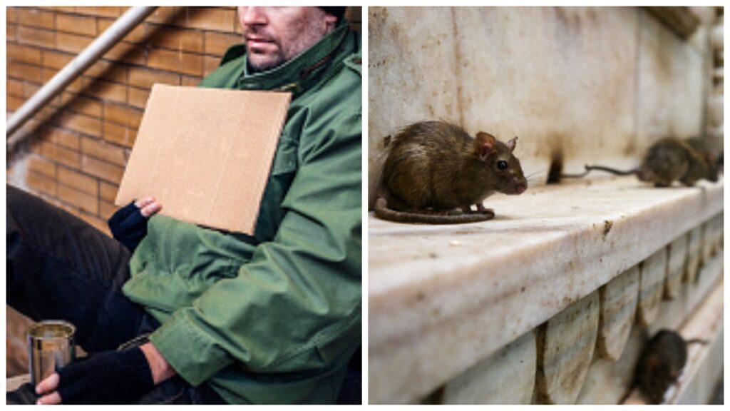 ¿Son su compañía? Captan a vagabundo durmiendo junto a manada de ratas en metro de NY