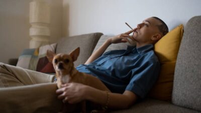 Afecta Humo Cigarro Mascotas